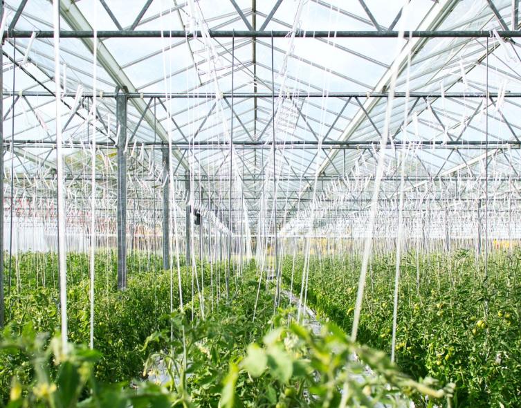 plastic profiles for horticulture & agriculture